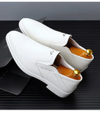 2025 Spring Autumn Men's Dress Shoes Fashion Casual Cow Leather British Pointed Toe Black and White New Designer Shoes Male