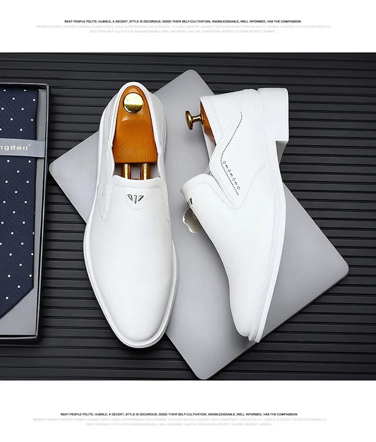 2025 Spring Autumn Men's Dress Shoes Fashion Casual Cow Leather British Pointed Toe Black and White New Designer Shoes Male