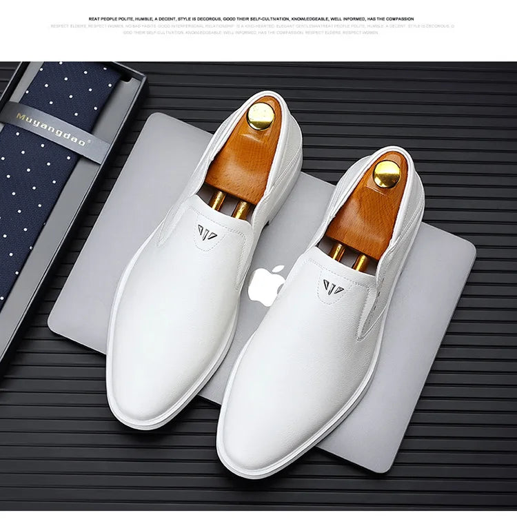 2025 Spring Autumn Men's Dress Shoes Fashion Casual Cow Leather British Pointed Toe Black and White New Designer Shoes Male