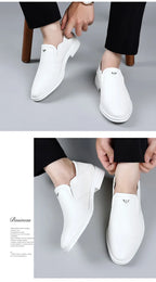 2025 Spring Autumn Men's Dress Shoes Fashion Casual Cow Leather British Pointed Toe Black and White New Designer Shoes Male