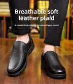 Genuine Leather Men's Shoes Slip-On Driving Shoes Casual Breathable Soft Bottom Anti-Slip Spring Autumn Seasonal Business Formal